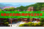 海角社区的精彩瞬间与生活分享