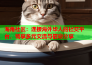 海角社区：连接海外华人的社交平台，畅享多元交流与信息分享