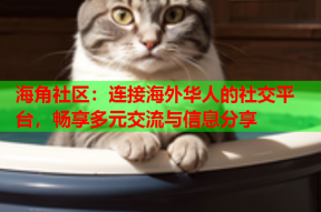 海角社区：连接海外华人的社交平台，畅享多元交流与信息分享