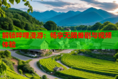 解锁哔哩漫游：畅享无限番剧与视频体验