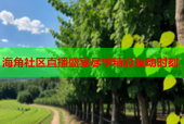 海角社区直播盛宴尽享精彩互动时刻
