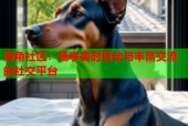海角社区：畅享实时互动与丰富交流的社交平台