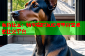 海角社区：畅享实时互动与丰富交流的社交平台