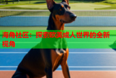 海角社区：探索欧美成人世界的全新视角