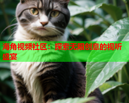 海角视频社区：探索无限创意的视听盛宴  第1张