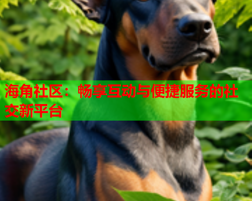 海角社区：畅享互动与便捷服务的社交新平台  第2张