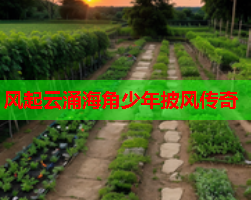 风起云涌海角少年披风传奇  第2张