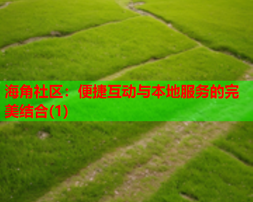 海角社区：便捷互动与本地服务的完美结合(1)  第1张