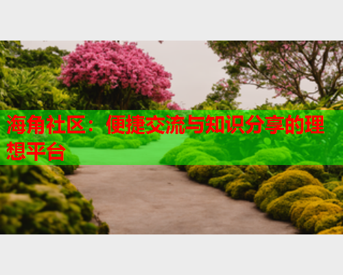 海角社区：便捷交流与知识分享的理想平台  第1张