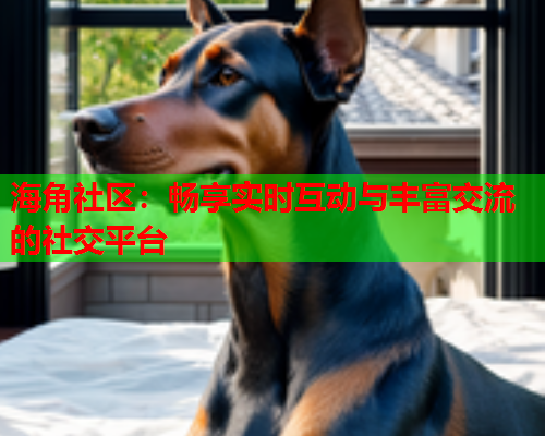 海角社区：畅享实时互动与丰富交流的社交平台  第1张
