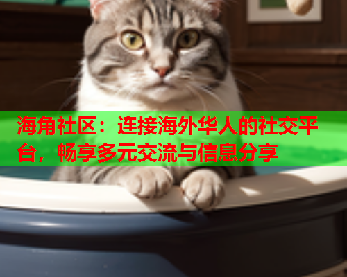 海角社区：连接海外华人的社交平台，畅享多元交流与信息分享  第1张
