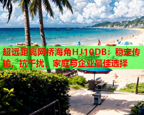 超远距离网桥海角HJ10DB：稳定传输，抗干扰，家庭与企业最佳选择  第2张